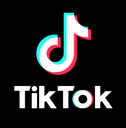TikTok Logo